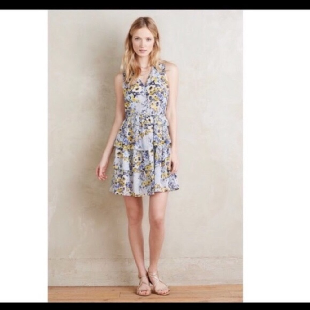 Anthropologie HD in Paris Floral Ruffle Dress L